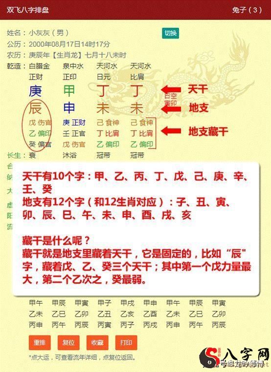 八字排盘 算法图片